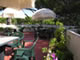 solarium Hotel Mirage Marina di Campo - Isola d'Elba